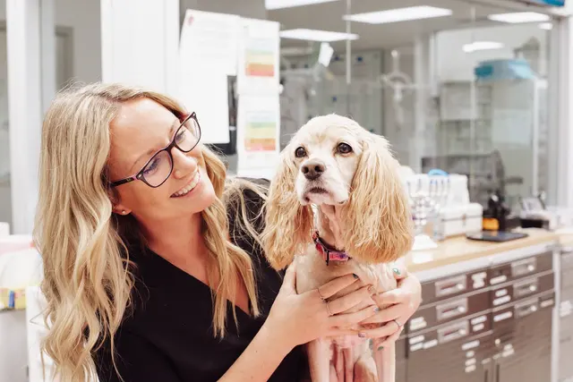 Pet Emergency and Referral Center — photo from the business 3