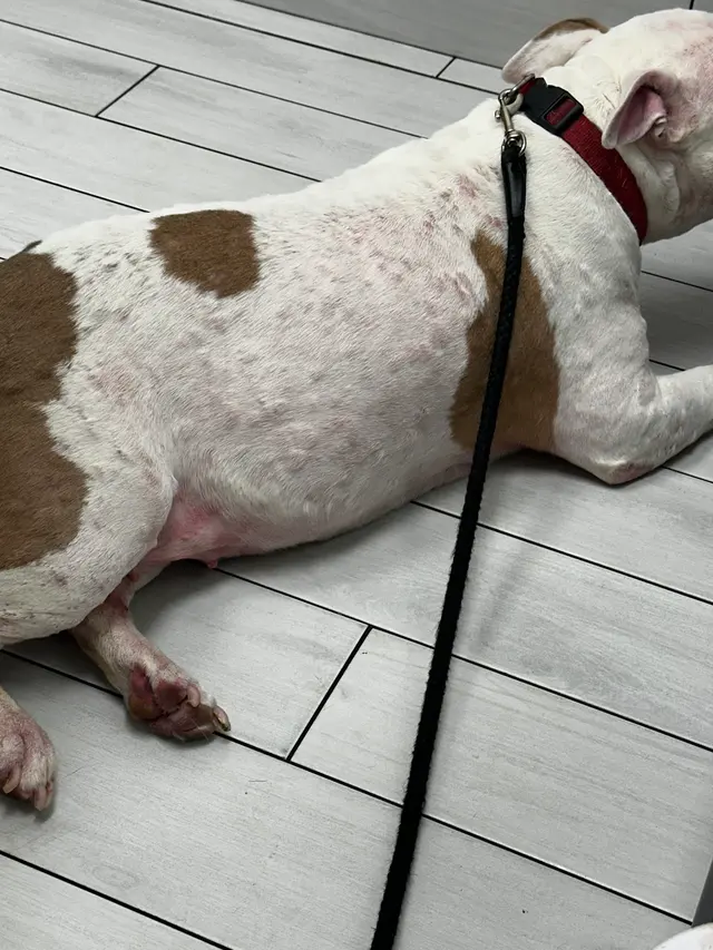 Pet Emergency and Referral Center — customer photo 11