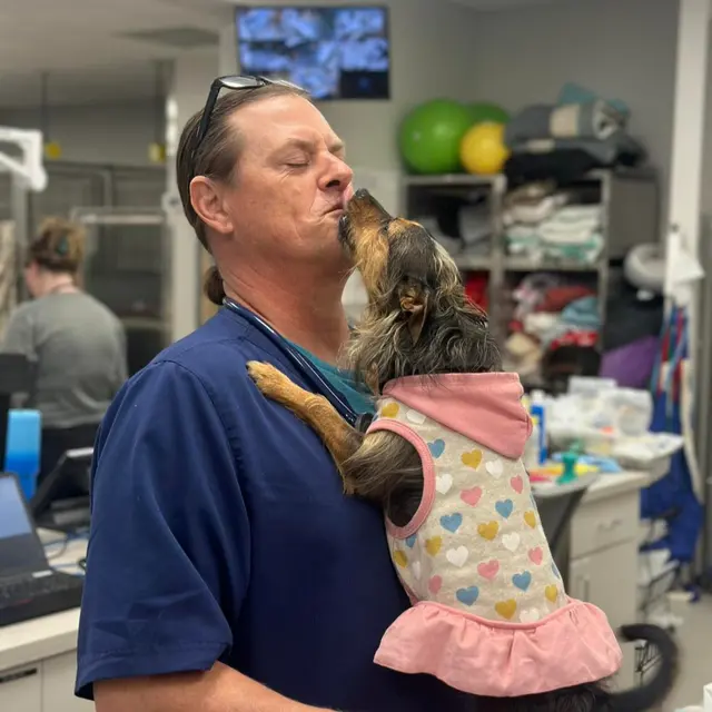 Pet Emergency and Referral Center — photo from the business 7