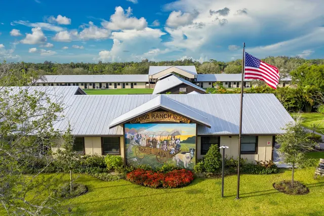 Big Dog Ranch Rescue — photo from the business 8