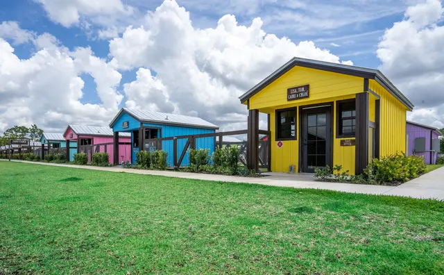 Big Dog Ranch Rescue — photo from the business 6