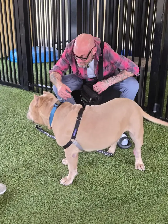 Customer photo of work by Peggy Adams Animal Rescue League, from Samuel phillips's review