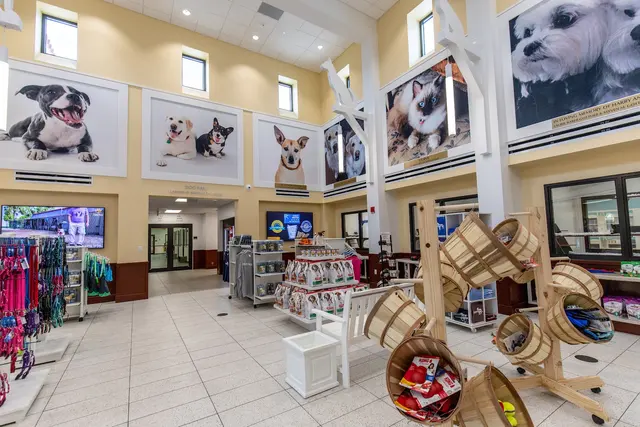 Peggy Adams Animal Rescue League — photo from the business 4