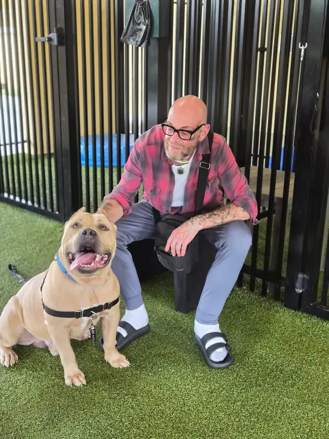 Customer photo of work by Peggy Adams Animal Rescue League, from Samuel phillips's review