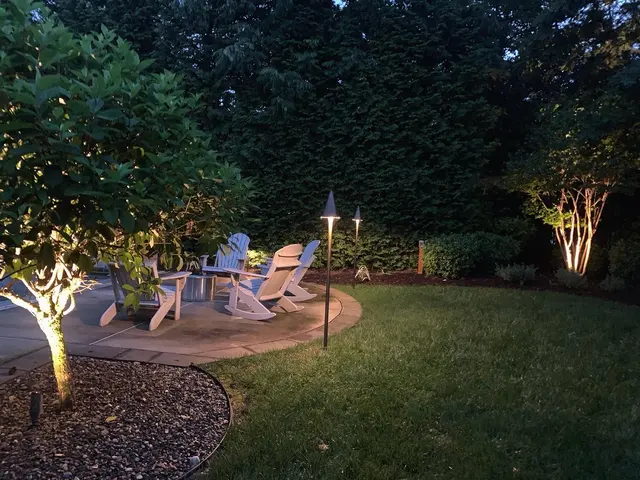 DC Lighting Pro — photo from the business 2