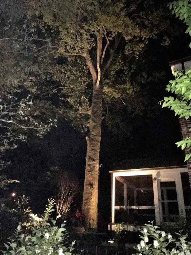 DC Lighting Pro — customer photo 12