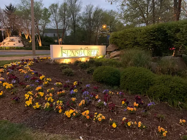 DC Lighting Pro — photo from the business 7