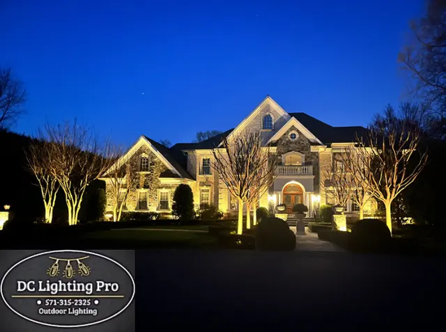 DC Lighting Pro — photo from the business 1