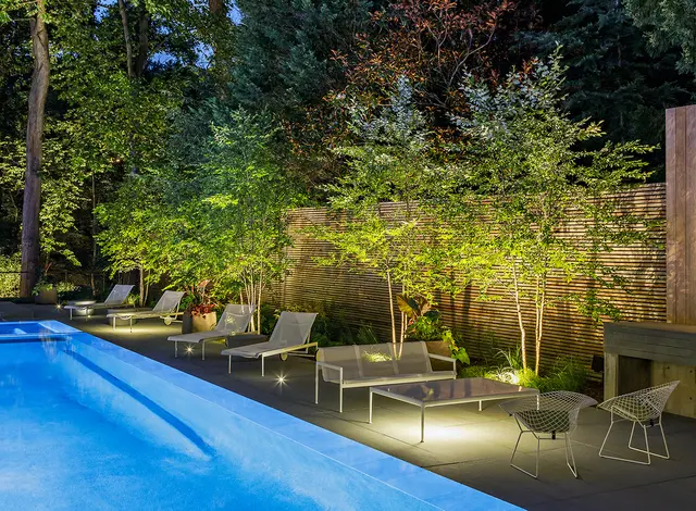 Outdoor Illumination — photo from the business 8