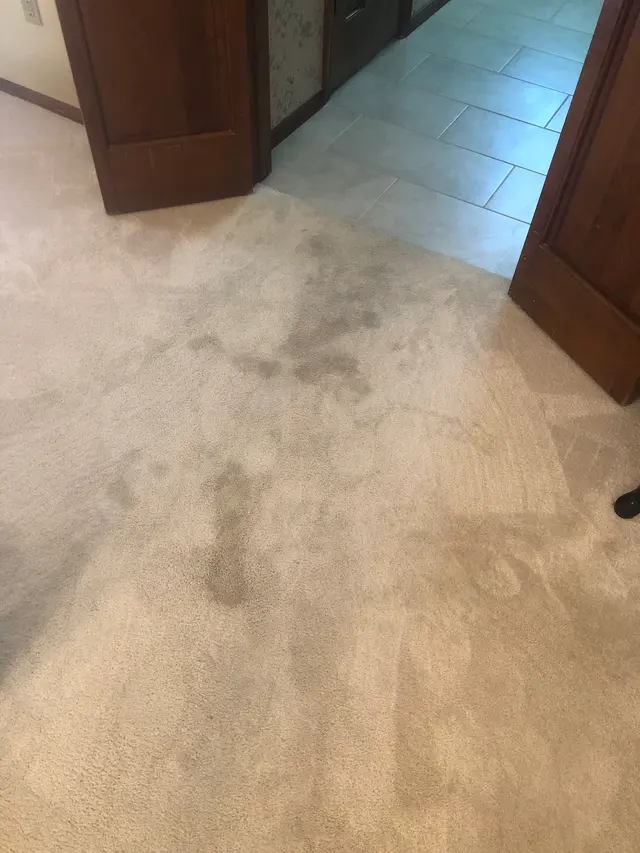 Carpet Master of Tulsa — photo from the business 5