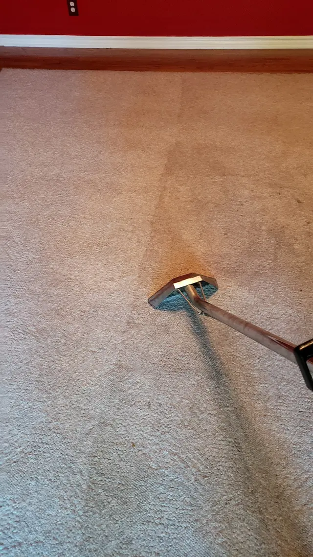 Dynamic Carpet Care — customer photo 4