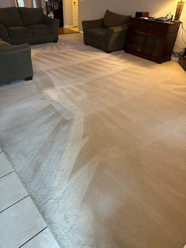 Dynamic Carpet Care — customer photo 1