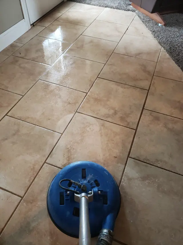 Dynamic Carpet Care — customer photo 8