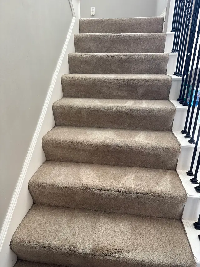 Dynamic Carpet Care — customer photo 2