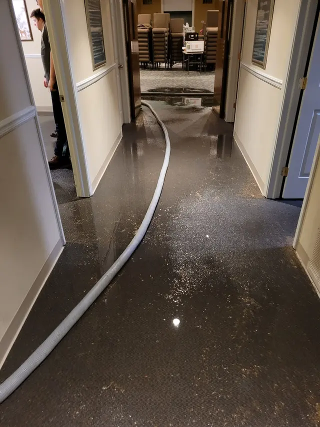 Dynamic Carpet Care — photo from the business 6