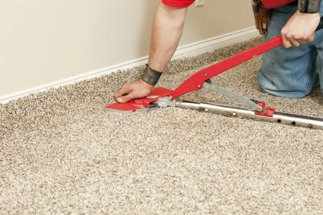 Dynamic Carpet Care — photo from the business 11