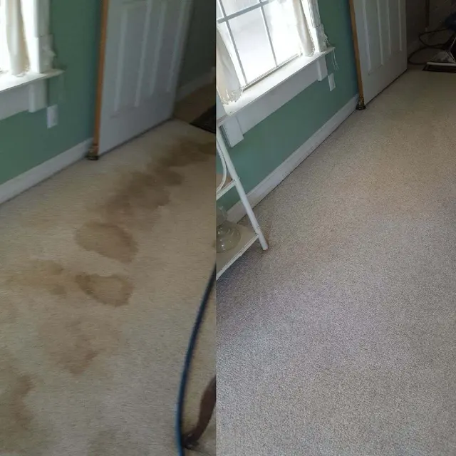 Dynamic Carpet Care — photo from the business 3