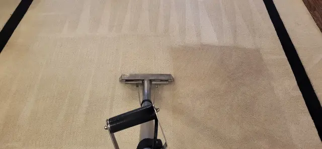 Complete Carpet — photo from the business 5