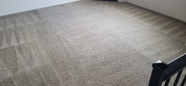 Complete Carpet — photo from the business 4