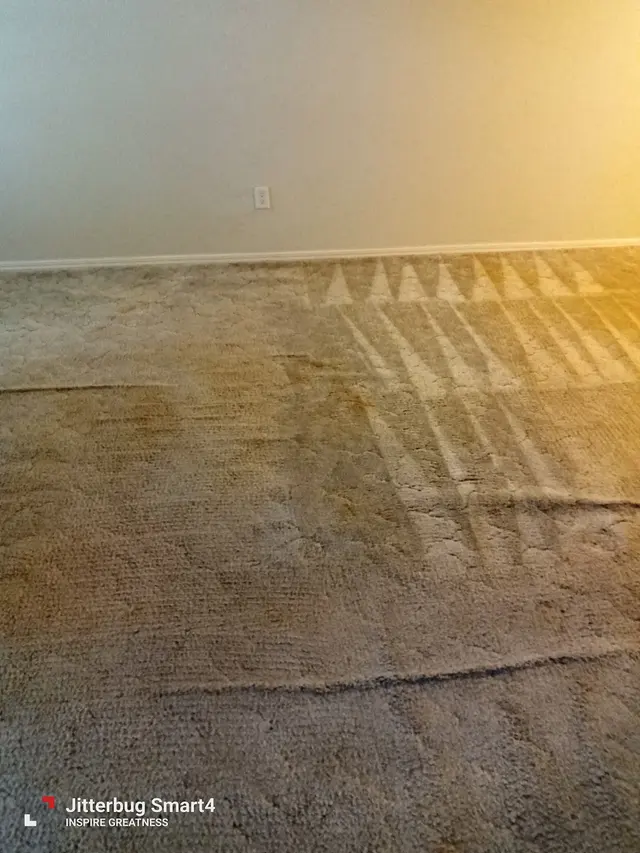 Customer photo of work by Complete Carpet, from Ronald's review