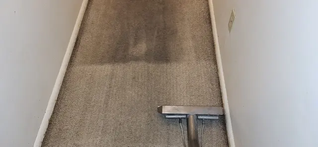 Complete Carpet — photo from the business 3