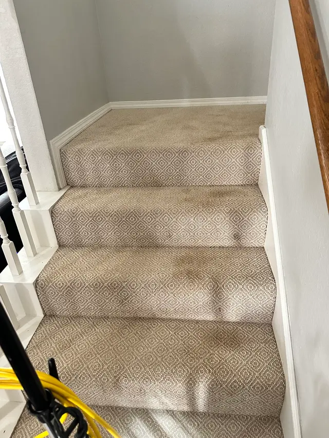 Zerorez — customer photo 4