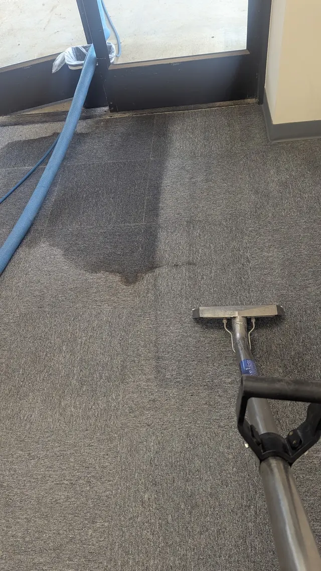 Blue Dog Carpet Cleaning — photo from the business 9