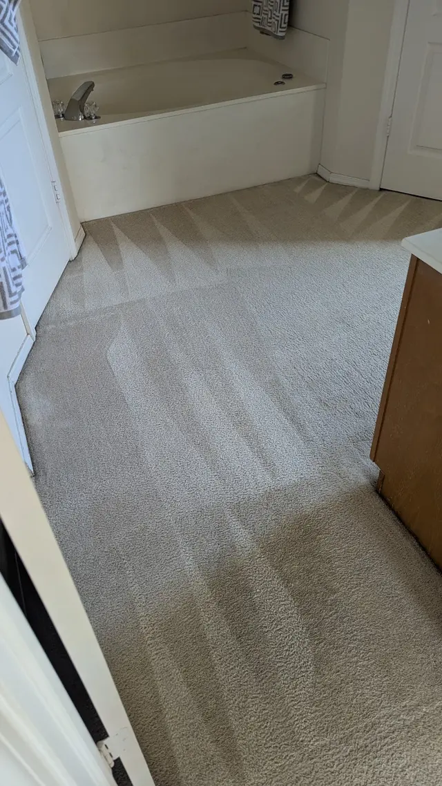 Blue Dog Carpet Cleaning — photo from the business 10