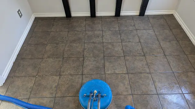 Blue Dog Carpet Cleaning — photo from the business 2