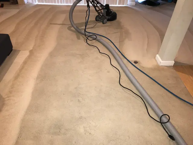 Blue Dog Carpet Cleaning — photo from the business 11