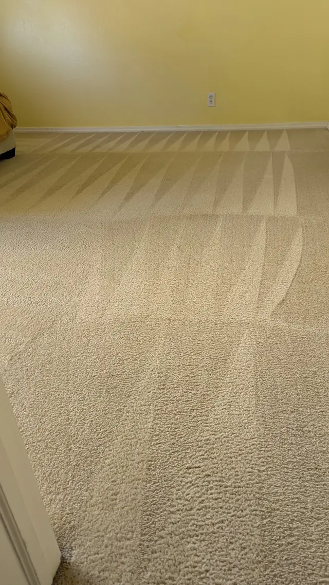 Blue Dog Carpet Cleaning — photo from the business 3