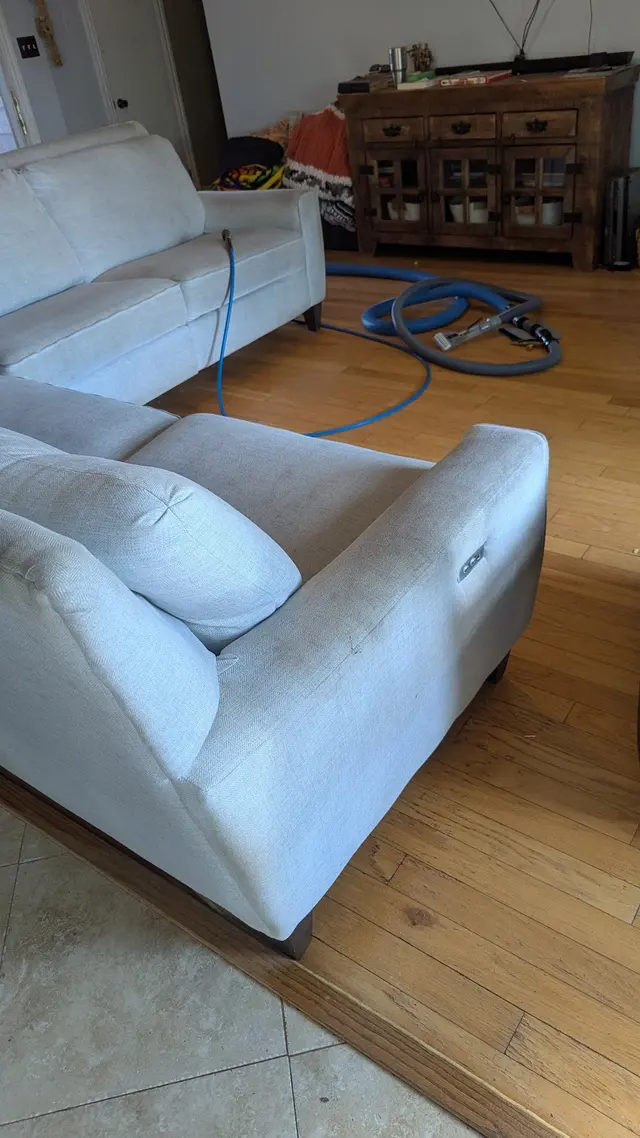Blue Dog Carpet Cleaning — photo from the business 4