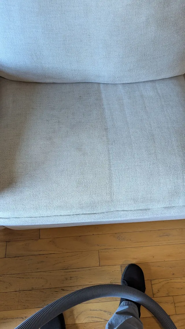 Blue Dog Carpet Cleaning — photo from the business 7