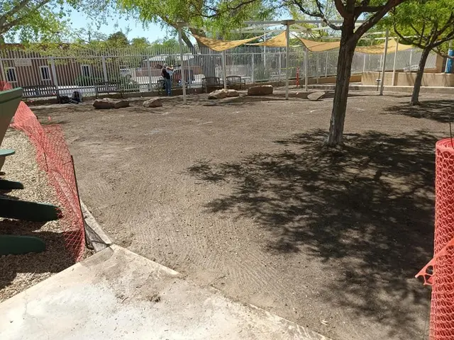 2 Brothers Landscaping — photo from the business 7