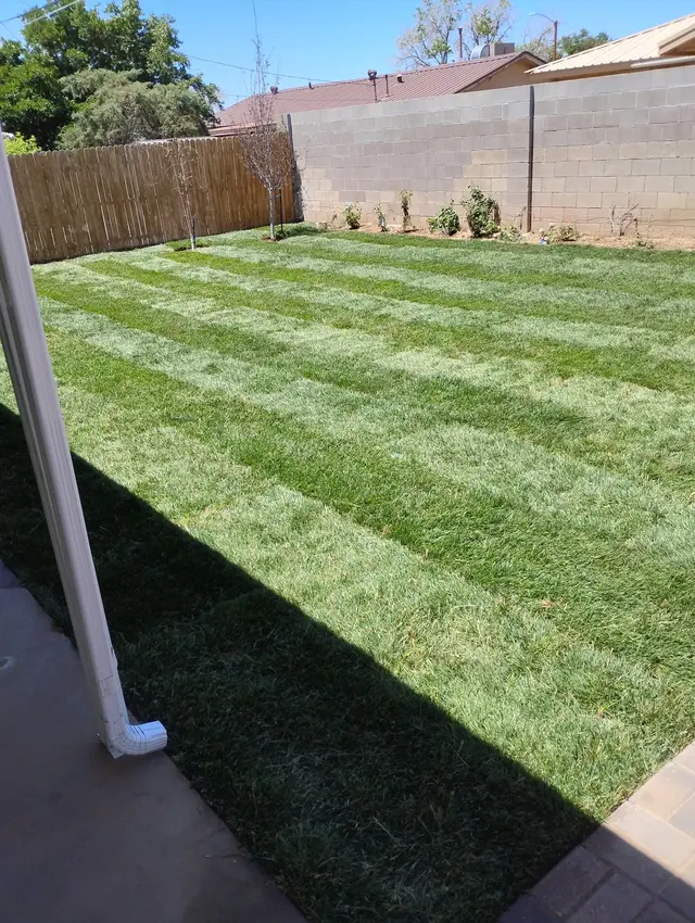 Customer photo of work by 2 Brothers Landscaping, from Sean Wible's review