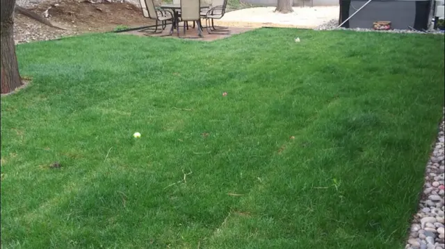 2 Brothers Landscaping — photo from the business 5