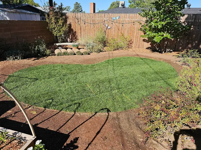 Customer photo from Coy's review