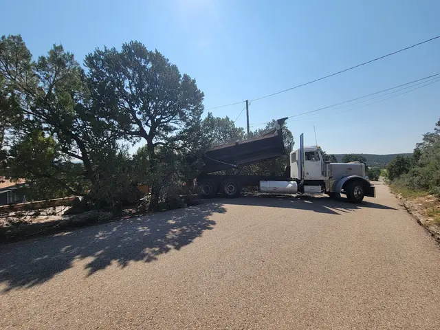 MT TRUCKING, LLC — customer photo 7