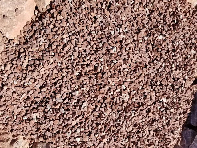 JPR Decorative Gravel — customer photo 9
