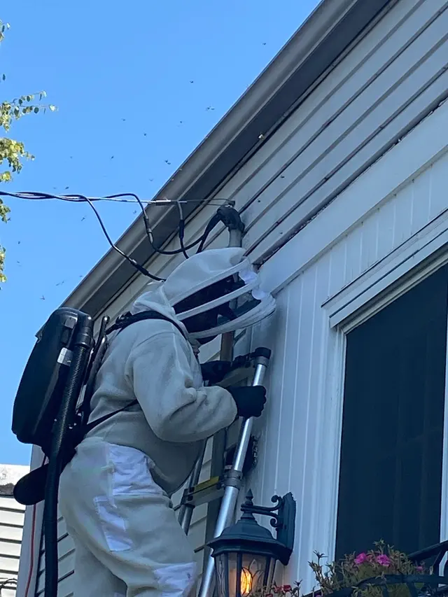 Midwest Pest Solutions, LLC — customer photo 7