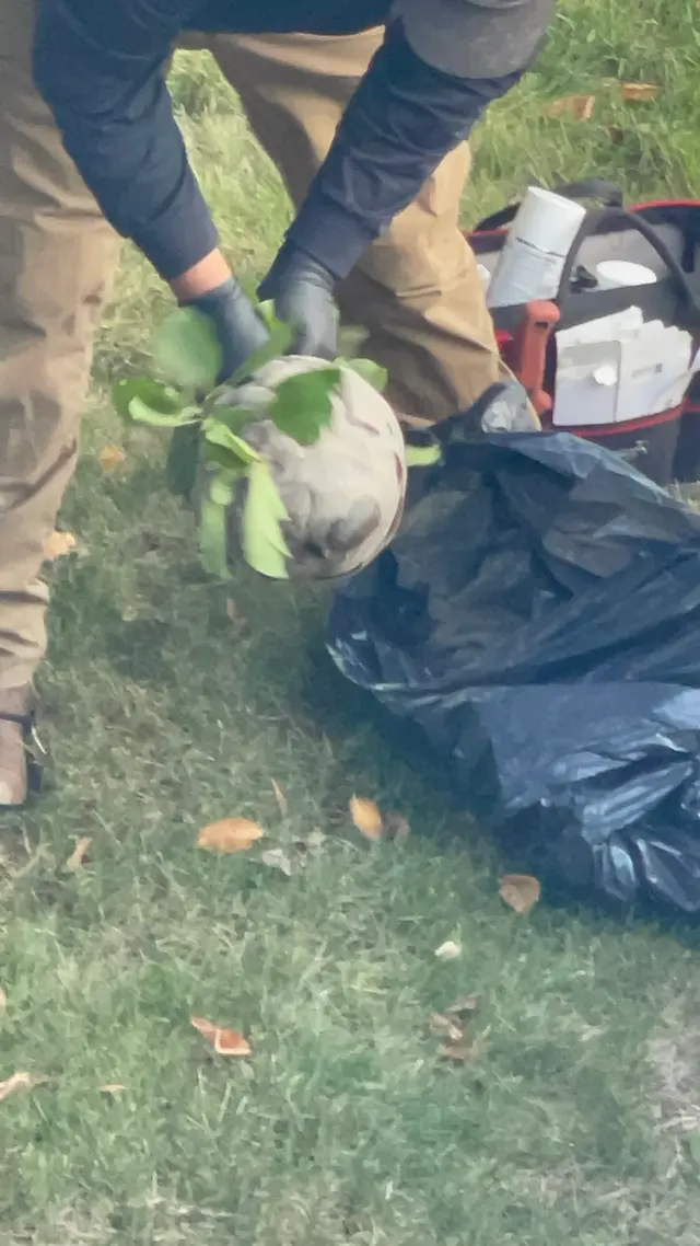 Midwest Pest Solutions, LLC — customer photo 8