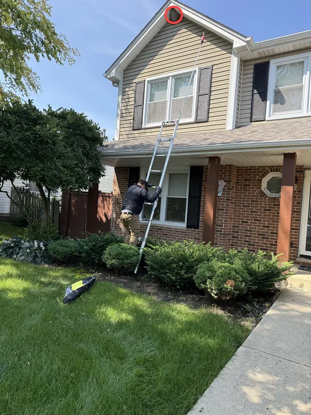 Midwest Pest Solutions, LLC — customer photo 4