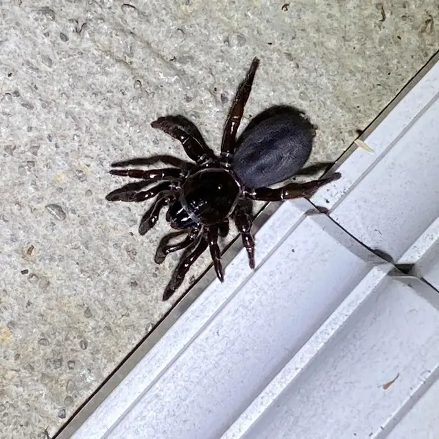 Midwest Pest Solutions, LLC — photo from the business 6