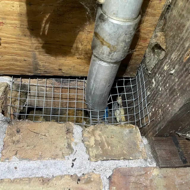Midwest Pest Solutions, LLC — photo from the business 3