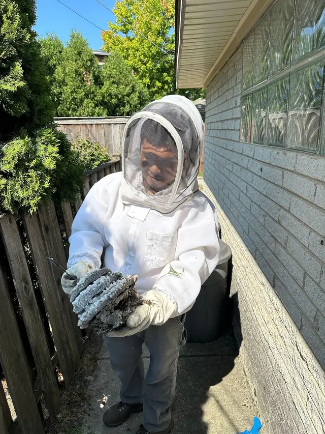 Eco Tech Pest Control — photo from the business 4
