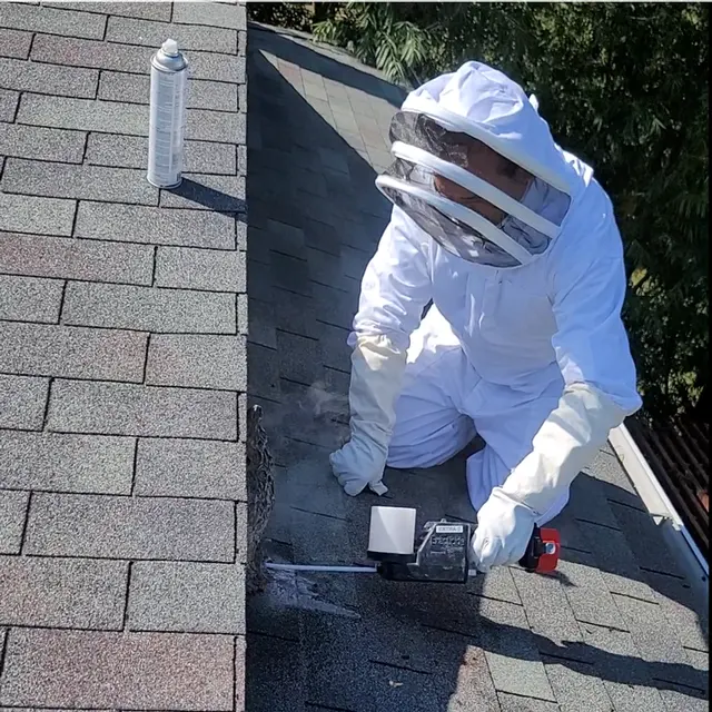 Eco Tech Pest Control — photo from the business 6