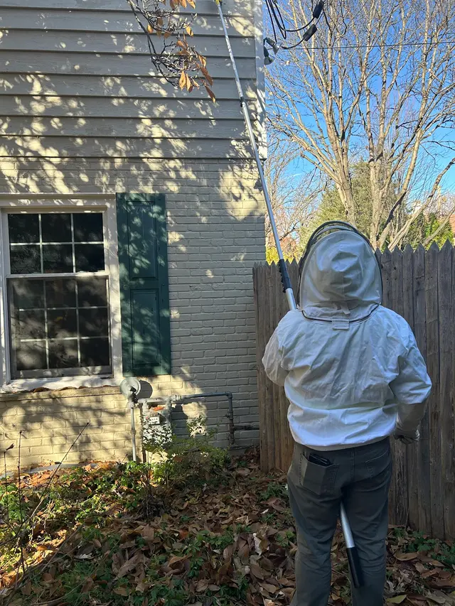 Eco Tech Pest Control — customer photo 9