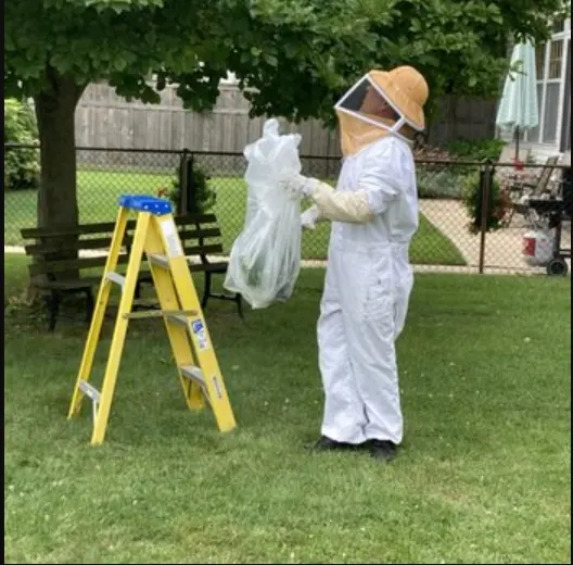 Eco Tech Pest Control — photo from the business 7