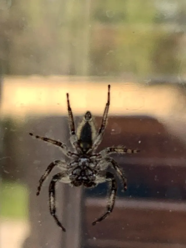 US Pest Control — photo from the business 7