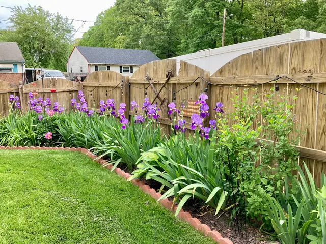 Agronomic Lawn Management — customer photo 9